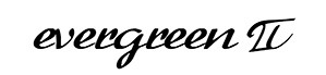 Evergreen II 500 for Carbon Fibre